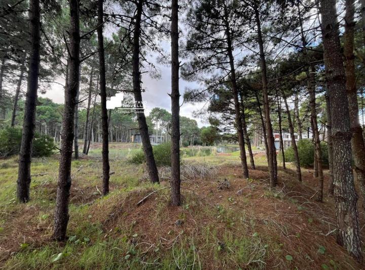 Terreno · 883m²