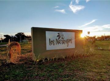 Terreno · 422m² · Se Vende Lote Nº 109 en Loteo Los Naranjos