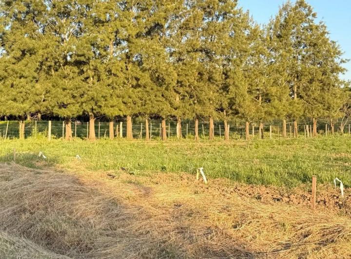 Terreno · 525m²