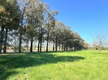 Terreno · 10043m² · Venta Lote 1 Ha Estancia La Macarena Financiación