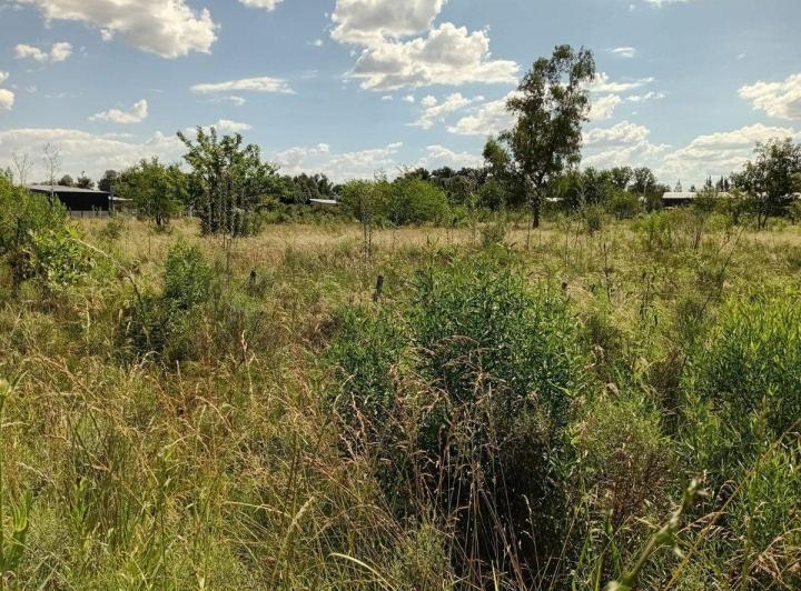 Terreno · 5000m²