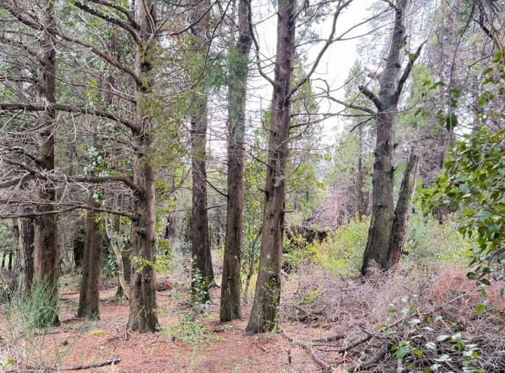 Terreno · 920m²