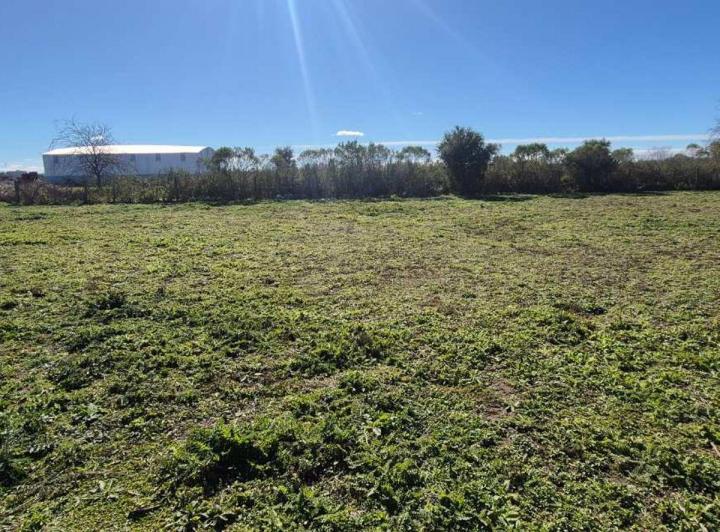 Terreno · 1385m²