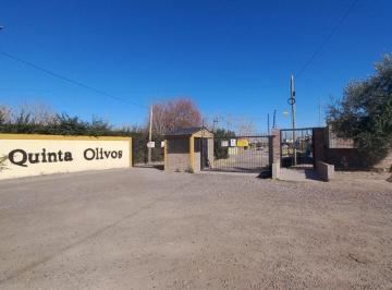 Terreno · 310m² · Venta 2 Lotes B° Quinta Olivos El Algarrobal Mza