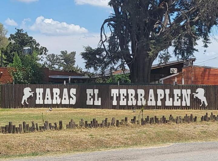 Terreno · 300m²