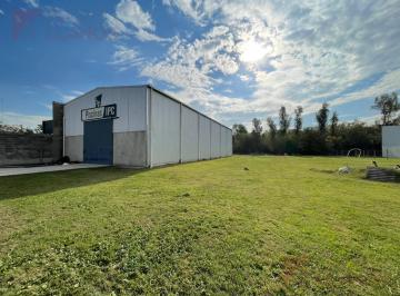 Bodega-Galpón · 360m² · 1 Ambiente · Galpón en Alquiler Sobre Colectora Ruta 5