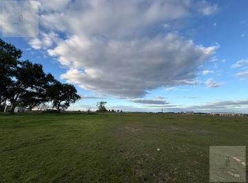 Terreno · 100m² · Alquiler - Campo / Chacra / Terreno - Guernica / San Vicente - Buenos Aires
