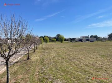 Terreno · 5000m² · Lote Único en Venta en Everlinks, Lujan, Central de 5000 m²