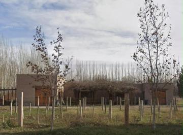 Campo · 6000m² · Se Vende Chacra en General Roca