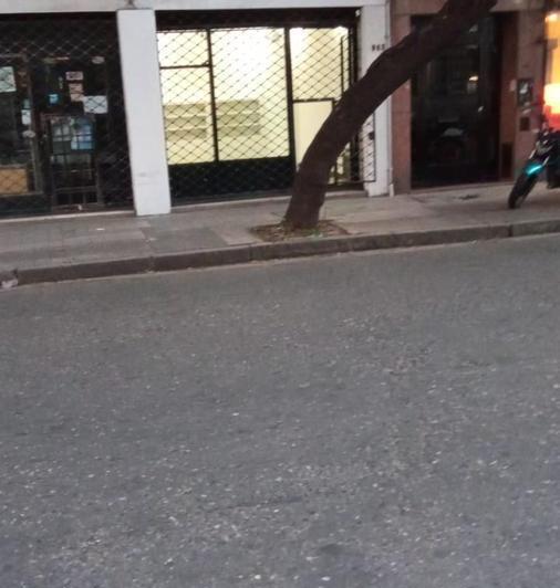 Local comercial