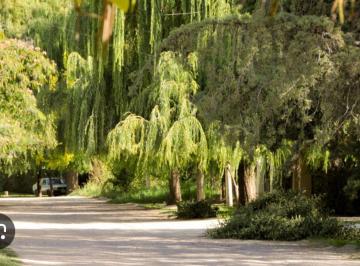 Terreno · 1000m² · Venta Lote Callejon Privado en Chacras de Coria