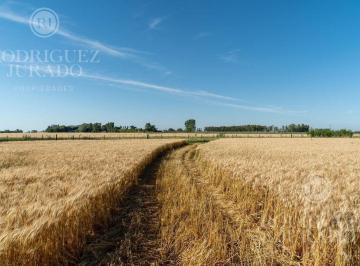 ROJ-ROJ-1127_2 · Fracción en Venta de 9ha San Antonio de Areco