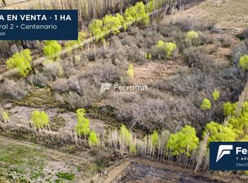 Campo · 10000ha · Chacra de 1 Hectárea en Zona Ex - Peaje de Centenario