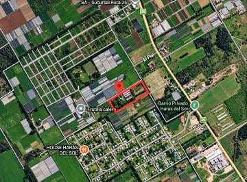 Terreno · 40000m² · Venta Lote 4 Ha Pilar Ideal Loteo o Prod Agricola