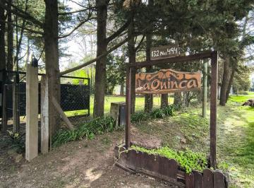 Casa de 5 ambientes, La Plata · 132 E/421 y 422 - Casa Sobre Parque de 2.140 m² - 3 Dorm., Quincho, Pileta, Parrilla