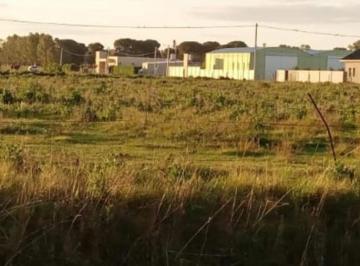 Terreno · 8482m² · Fracción de Terreno Sobre Acceso a Coronel Dorrego