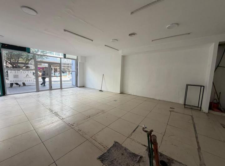 Local comercial · 1100m² · 5 Ambientes