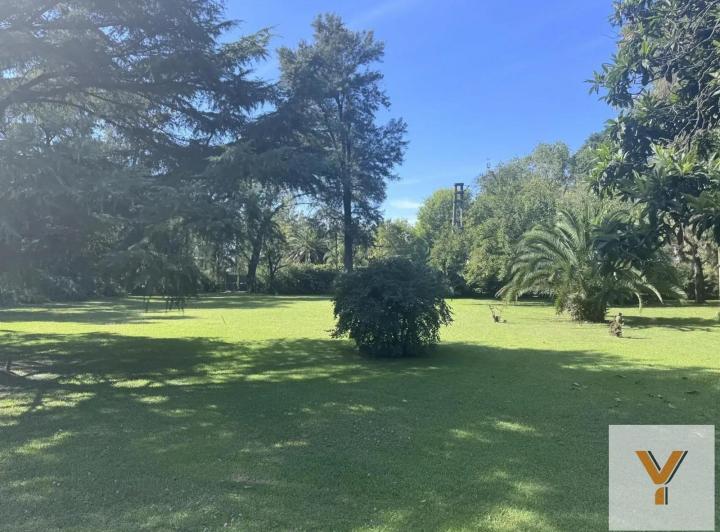 Terreno · 8790m² · 3 Ambientes