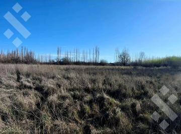 Campo · 22754m² · Chacra en Cipolletti