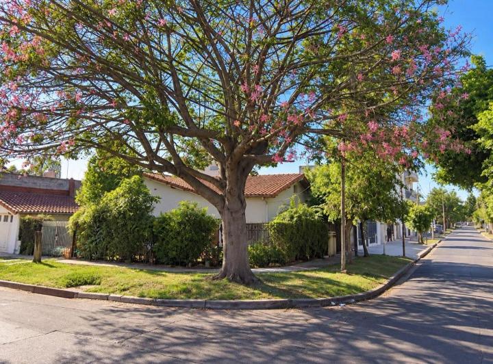 Terreno · 230m²