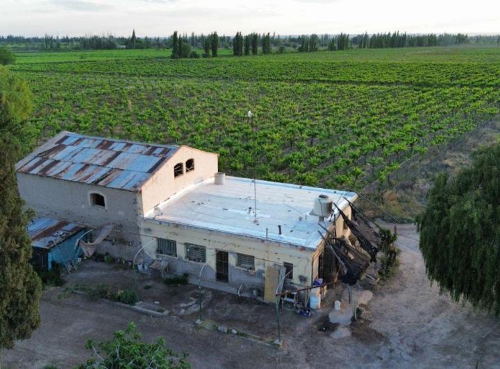 Campo · 44m²