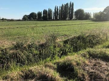 Campo · 97000m² · 2 Ambientes · Venta Chacra en Peñas Blancas! Rio Negro