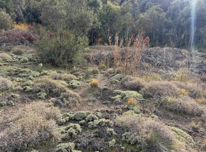 Terreno · 1100m²