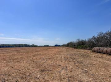 Campo · 19ha · Campo Mixto de 19 Has con Arroyo en Nogoyá