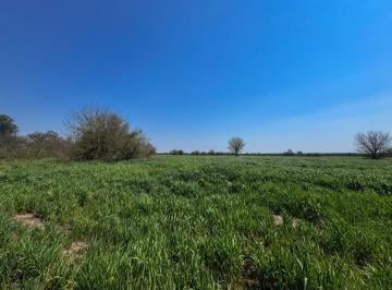 Campo · 9ha · Campo de 9,1 Has en Nogoyá