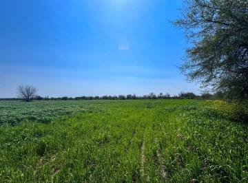 Campo · 9ha · Campo de 9,1 Has en Nogoyá