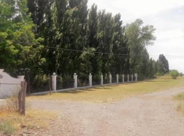 Campo · 8500m² · 1 Ambiente · Chacra 8, Hectáreas, 25 de Mayo La Pampa