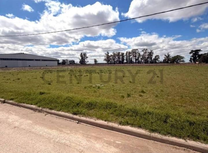 Terreno · 1649m²