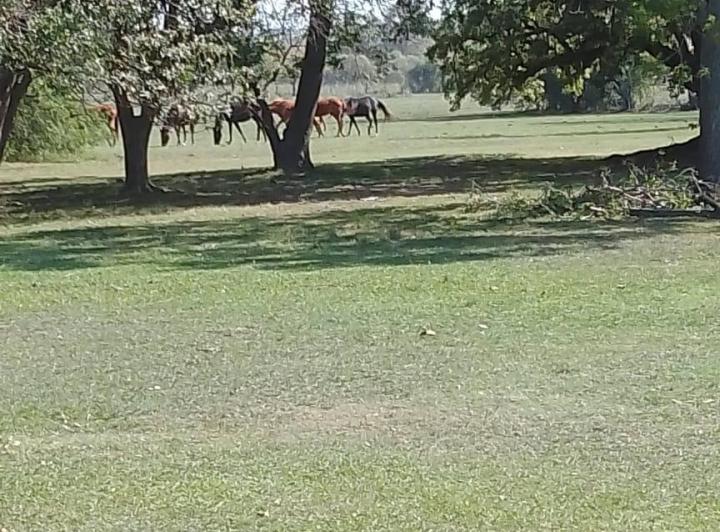 Terreno · 15ha