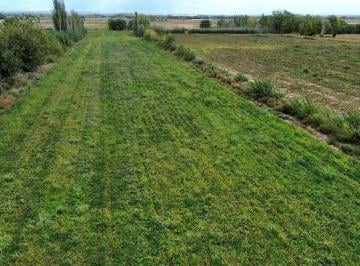 Campo , San Carlos · Finca en Venta / Alto Capiz 8ha / Pozo