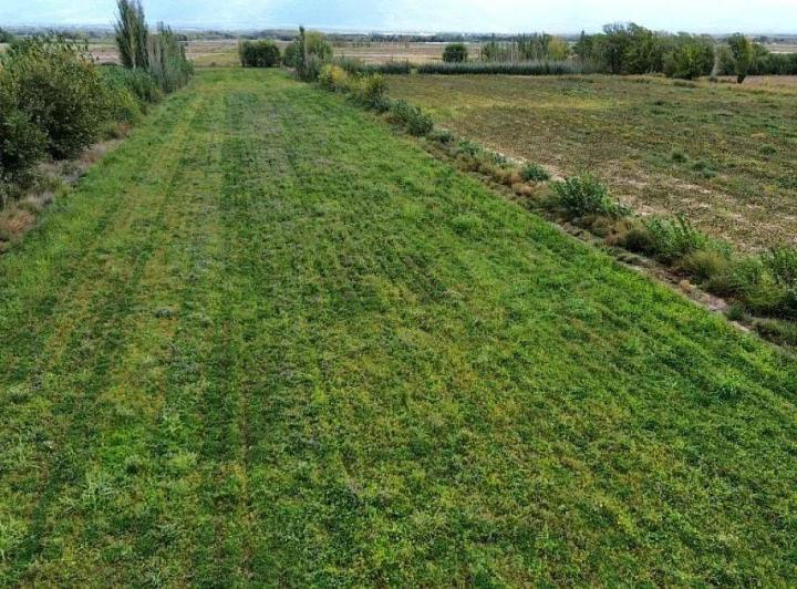 Campo · 8m²