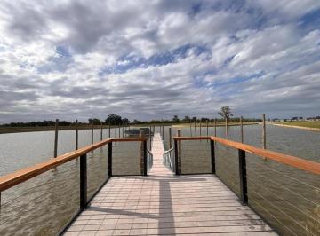 Terreno , Tigre · Terreno / Lote en Venta Al Rio 707 m² Ubicado en Barrio Bahia Villanueva