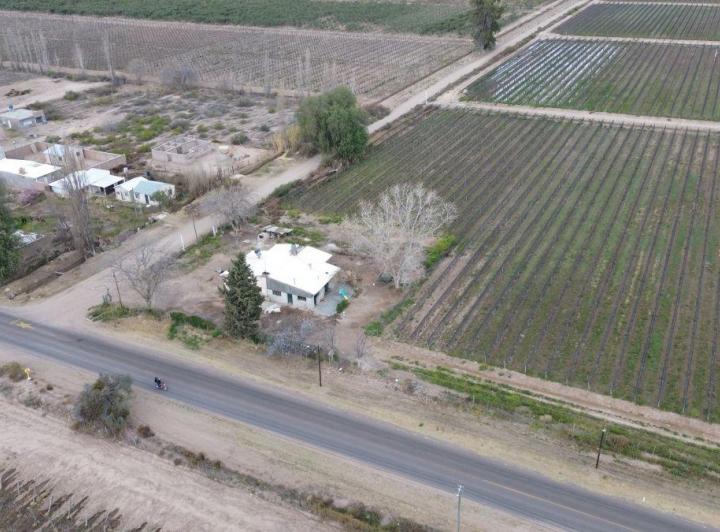 Campo · 52m²