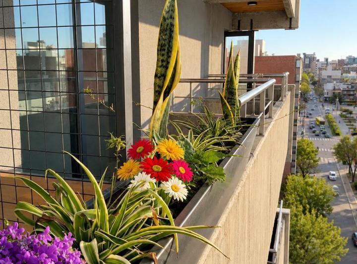 Departamento · 64m² · 3 Ambientes