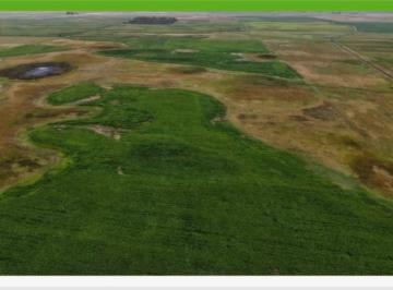 Terreno · 370ha · Terreno - Bolivar