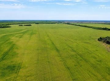 Campo , Formosa · Campo Mixto 551 Ha Dpto Patiño, Provincia de Formosa