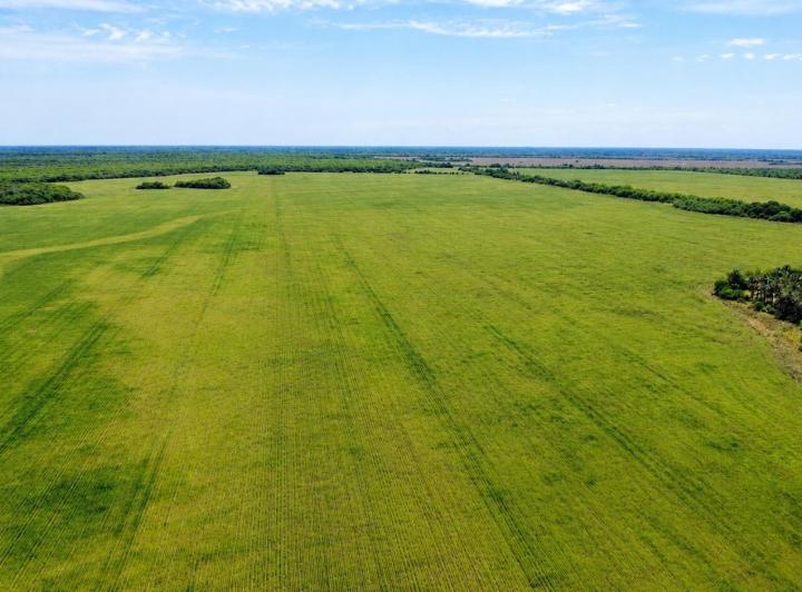 Campo · 551m²