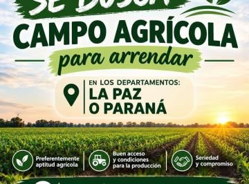Terreno , La Paz · Busco Campo Agricola Para Arrendar