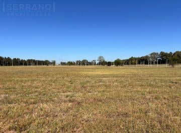Terreno · 1000m² · Terreno en Venta 1000 m², Barrio Abierto Praderas 2 de Los Cardales con Posesión Inmediata