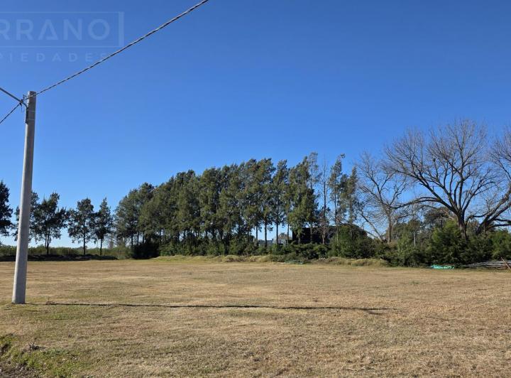 Terreno · 1500m²
