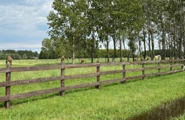 Terreno · 10000m²