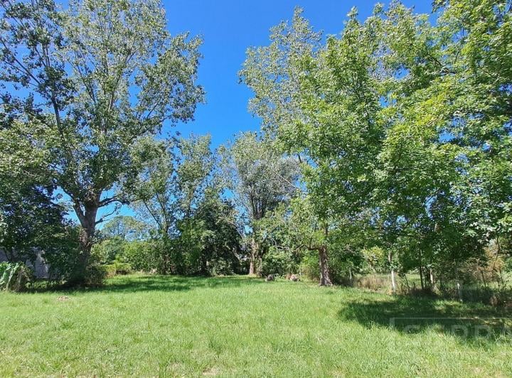 Terreno · 1000m²