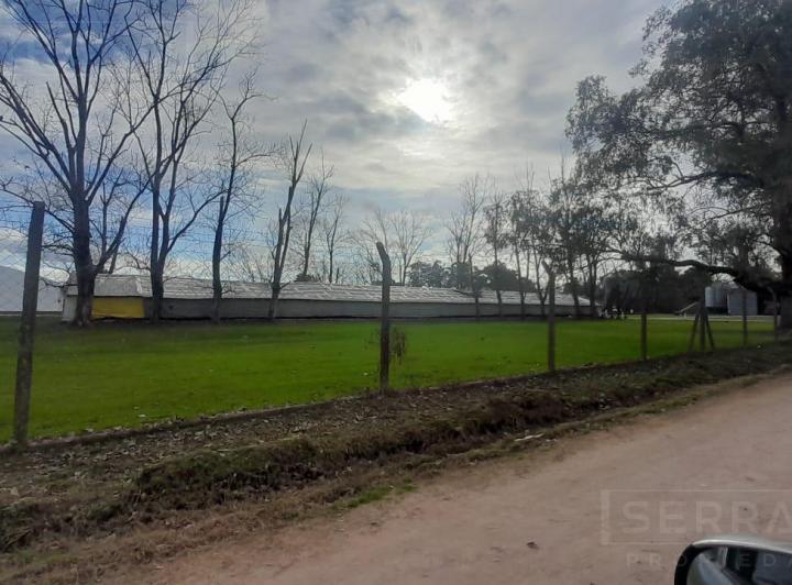 Terreno · 5000m²