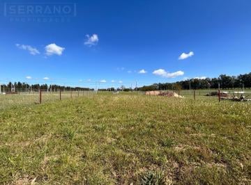 Terreno · 1000m² · Terreno en Venta 1000 m², Barrio Abierto Praderas 2 de Los Cardales con Posesión Inmediata
