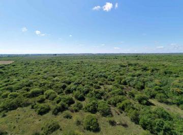 Campo · 94ha · Campo en Venta, Goya