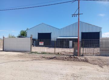 Bodega-Galpón · 250m² · 1 Ambiente · Cipolletti Alquila Galpon Pi 250 m²